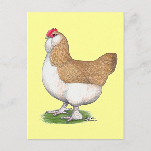 Faverolle Hen Postkarte (Vorderseite)