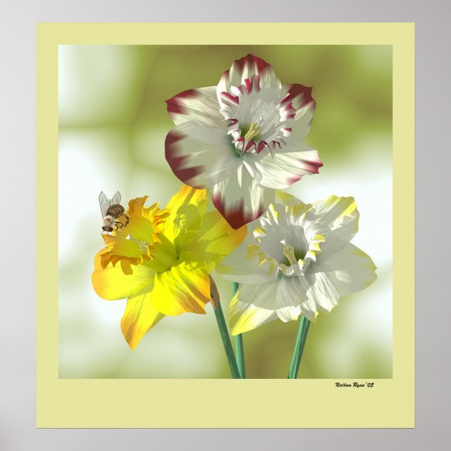 Favoritenfarbe Poster (Vorne)