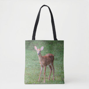 Fawn