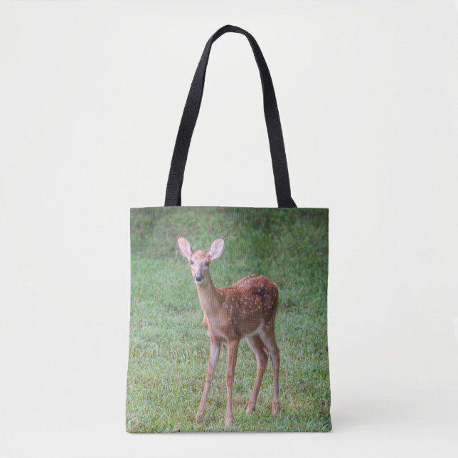 Fawn (Vorderseite)
