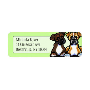 Fawn and Dark Brindle Boxer Studio Minze