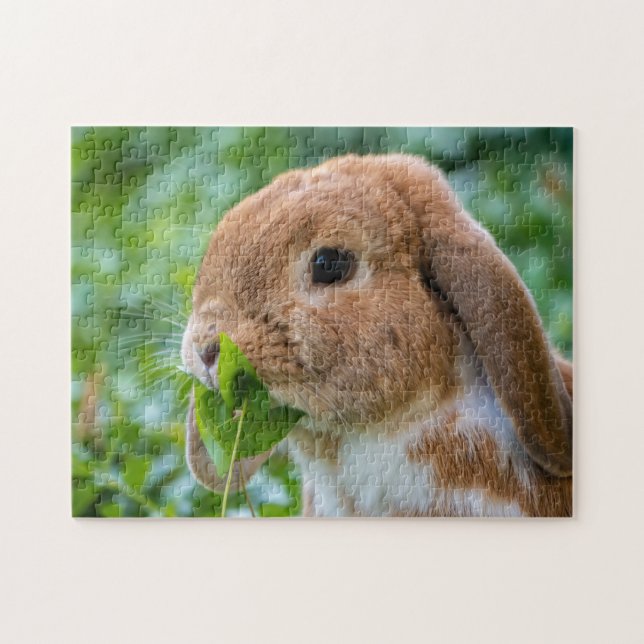 Fawn and White Holland Lop Bunny Rabbit Puzzle (Horizontal)
