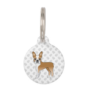 Fawn Boston Terrier Cartoon Hund mit Informationen Haustiermarke