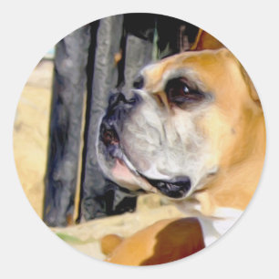 Fawn Boxer Dog Aufkleber