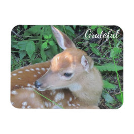 Fawn Dankbarkeit Magnet