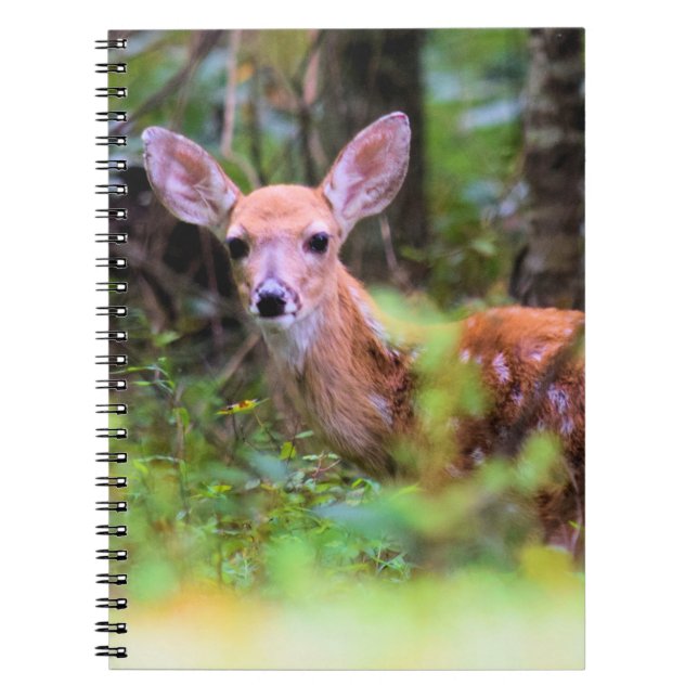 Fawn in the Woods - Flüchtige Blick-a-boo - Notebo Notizblock (Vorderseite)