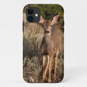 Fawn iPhone 5 Case-Mate iPhone Hülle