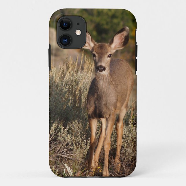 Fawn iPhone 5 Case-Mate iPhone Hülle (Rückseite)