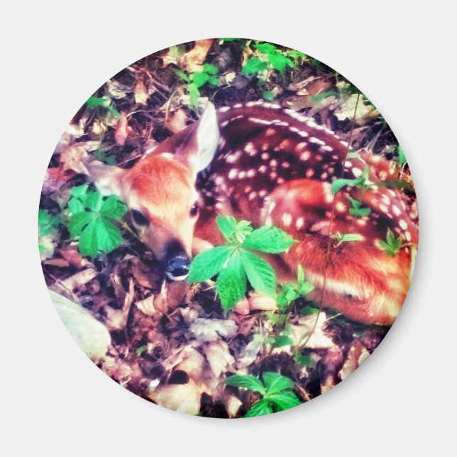 FAWN MAGNET (Vorne)
