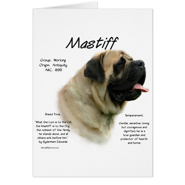 Fawn Mastiff History (Vorne)