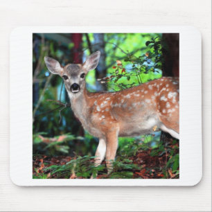Fawn Mousepad