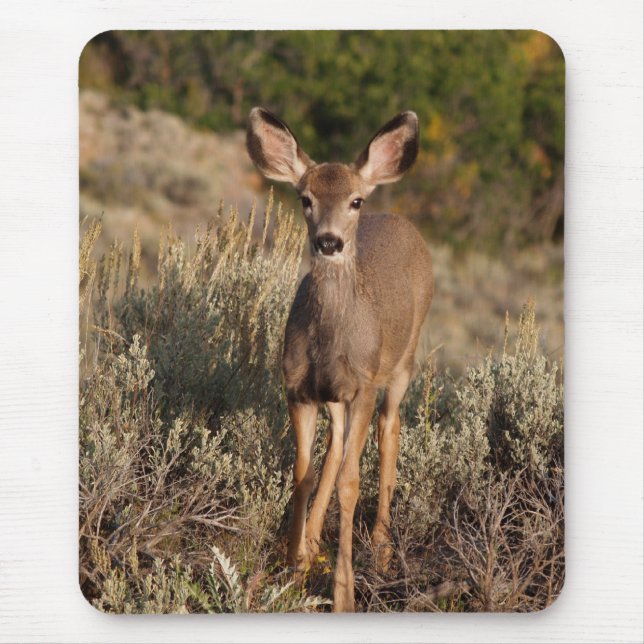 Fawn Mousepad (Vorne)