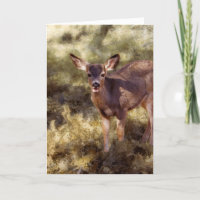 Fawn/Oh Rotwild