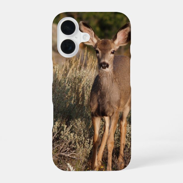 Fawn Phone Case iPhone 16 Hülle (Rückseite)
