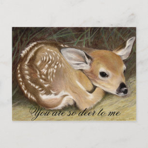 Fawn Postkarte