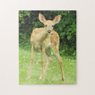 Fawn Puzzle