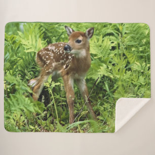 FAWN SHERPADECKE