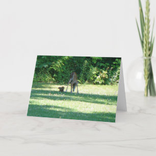 Fawn Squirrel Friends Karte