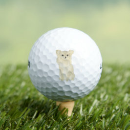 Fawn Tan Long Haired Chihuahua Golfball