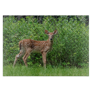 Fawn vor einem Zaun Schneidebrett