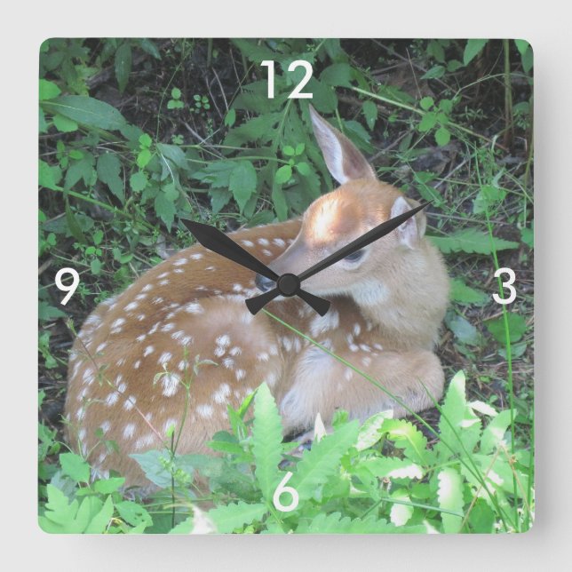 Fawn Wall Clock Quadratische Wanduhr (Vorderseite)