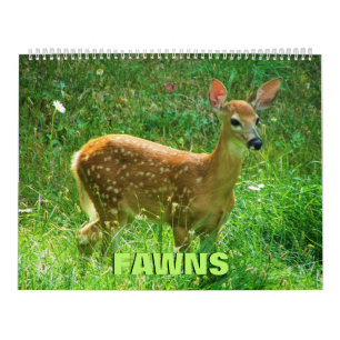 Fawns-Kalender Kalender