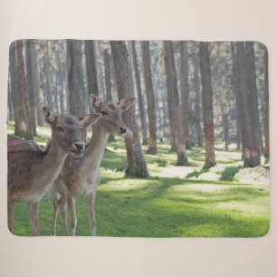 FAWNS SHERPADECKE
