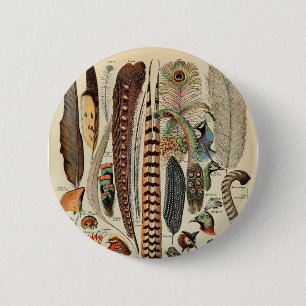 Feather Bird Wildlife Antique Feathers Button