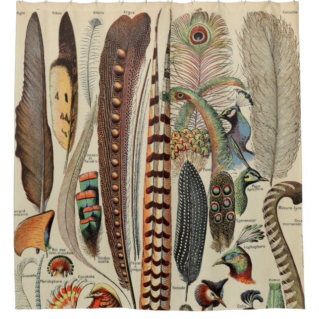 Feather Bird Wildlife Antique Feathers Duschvorhang (Vorderseite)