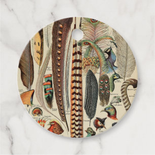 Feather Bird Wildlife Antique Feathers Geschenkanhänger