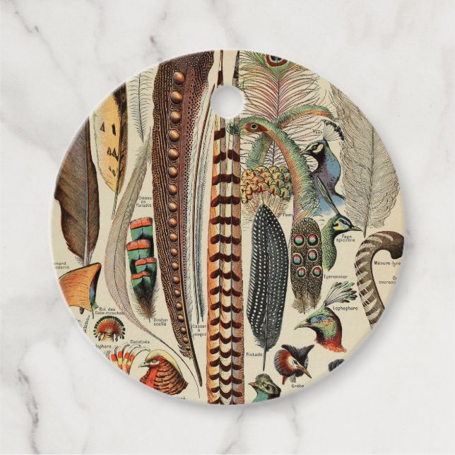 Feather Bird Wildlife Antique Feathers Geschenkanhänger (Vorderseite)