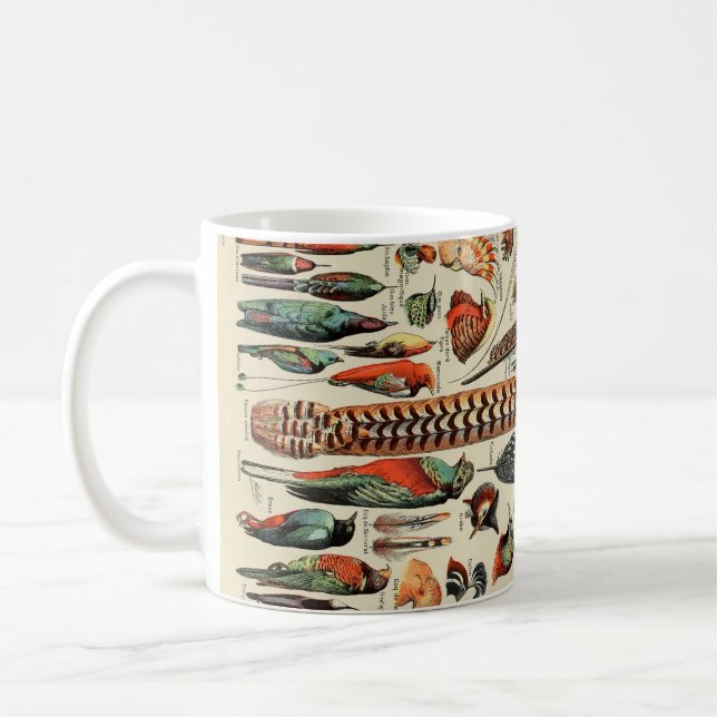 Feather Bird Wildlife Antique Feathers Kaffeetasse (Links)