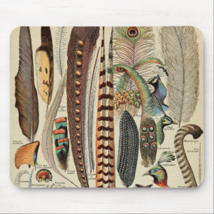 Feather Bird Wildlife Antique Feathers Mousepad