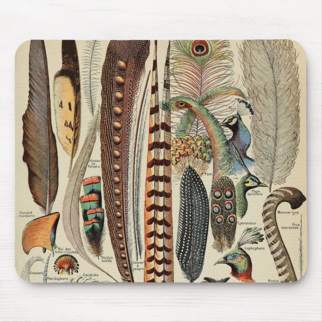 Feather Bird Wildlife Antique Feathers Mousepad (Vorne)