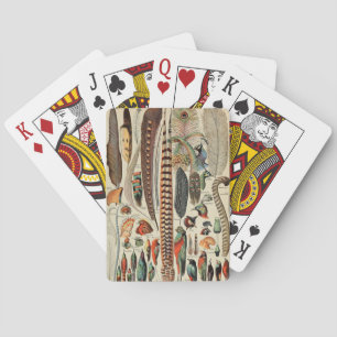 Feather Bird Wildlife Antique Feathers Spielkarten