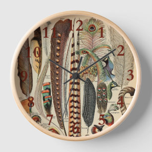 Feather Bird Wildlife Antique Feathers Uhr