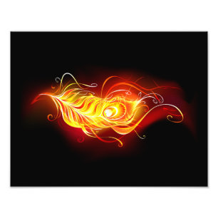 Feather Fotodruck