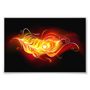 Feather Fotodruck