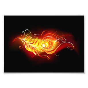 Feather Fotodruck