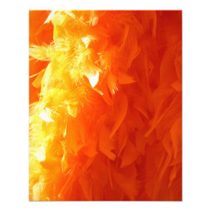 Feather Fotodruck