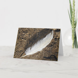 Feather Karte