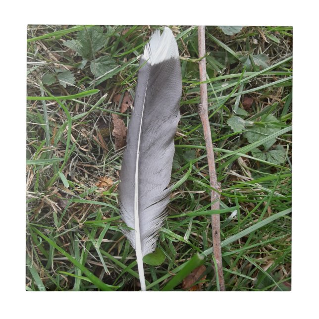 Feather Keramik Tile Fliese (Vorderseite)