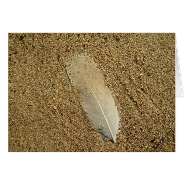 Feather on Sand (Vorderseite (Horizontal))