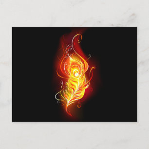 Feather Postkarte