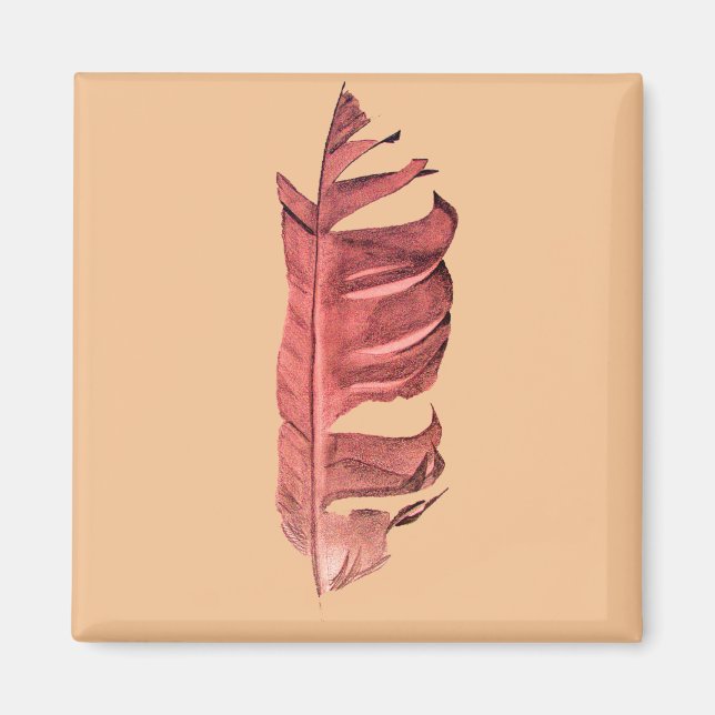 Feather zeichne originelle Kunstillustrierung Magnet (Vorne)