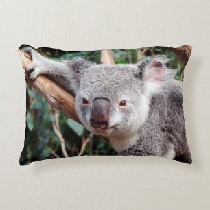 Featherdale Wildlife Park, Koalas Zierkissen