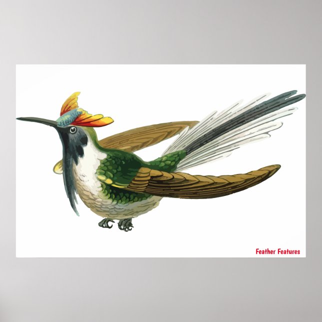 Feathered Bird Poster (Vorne)