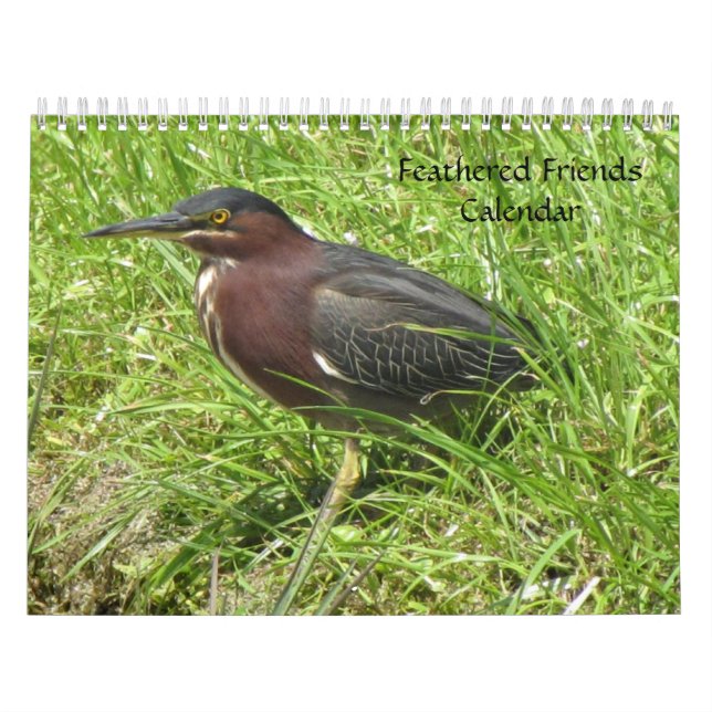 Feathered Friends 2013 Calendar - Encore Edition Kalender (Titelbild)
