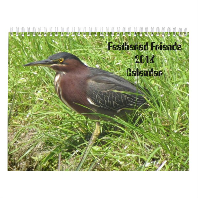 Feathered Friends 2016 (Encore) Kalender (Titelbild)