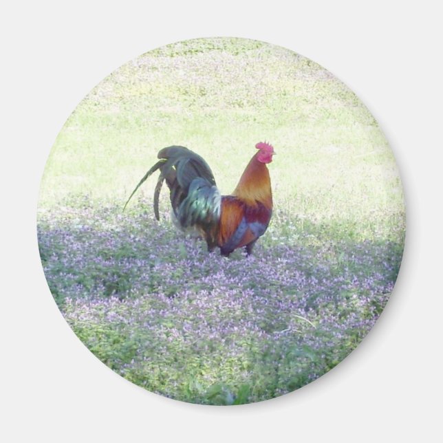 Feathered Pride Magnet (Vorne)